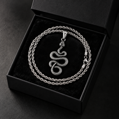 Silver Stainless Steal Snake Pendant Necklace for Men – Antique Serpent Pendant with Rope Chain